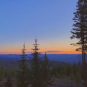 Meet your Posher, Trey